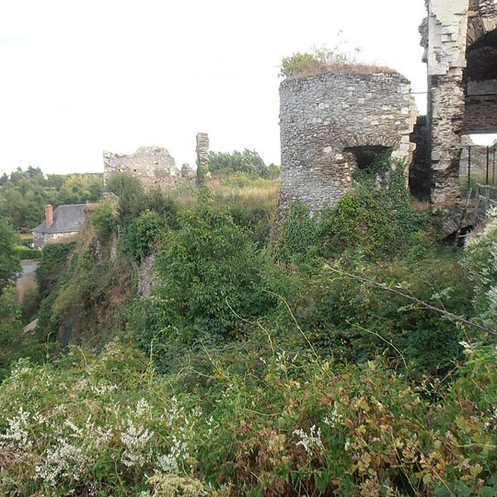 Photo de Château de Champtocé