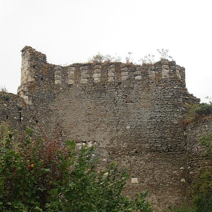 Photo de Château de Champtocé