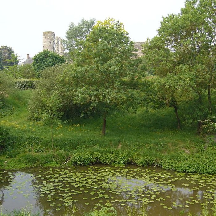 Photo de Château de Champtocé