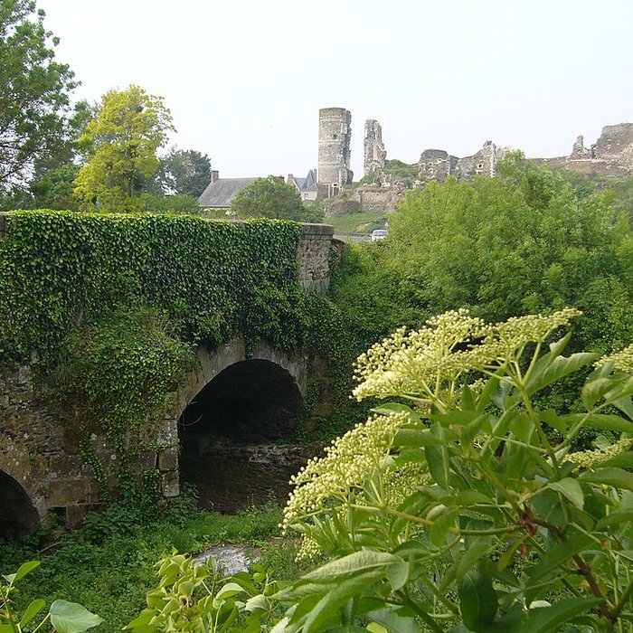 Photo de Château de Champtocé
