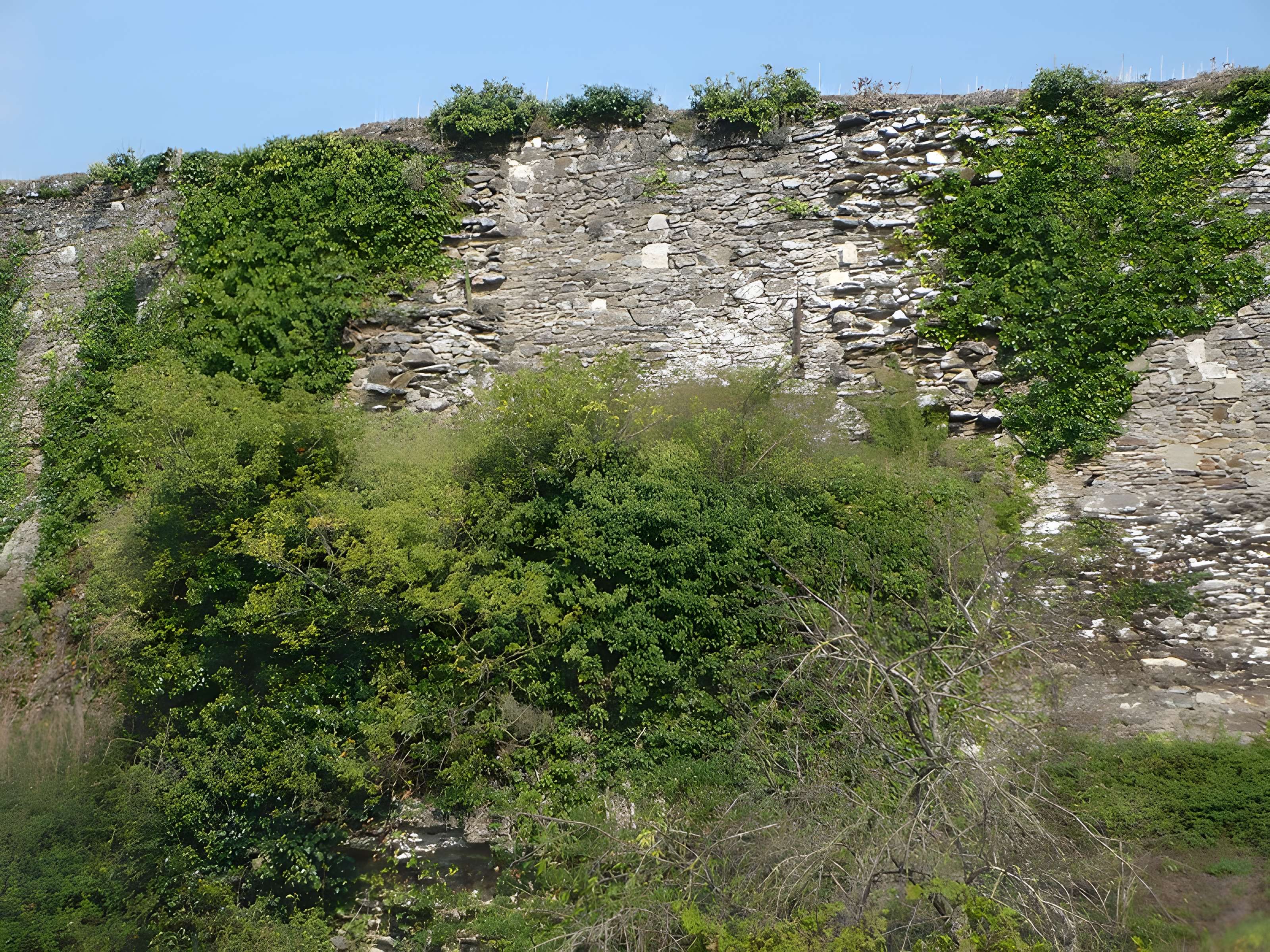 Château de Champtocé