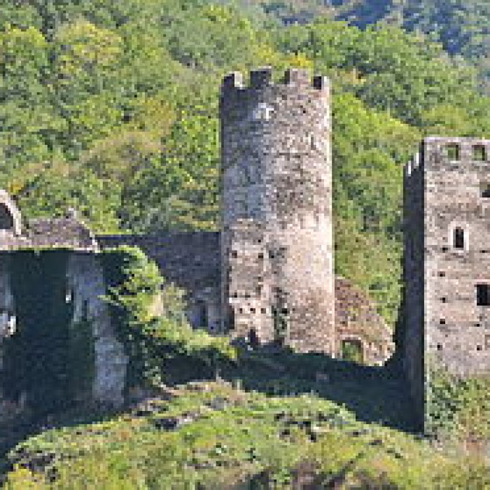 Photo de Château de Chantemerle