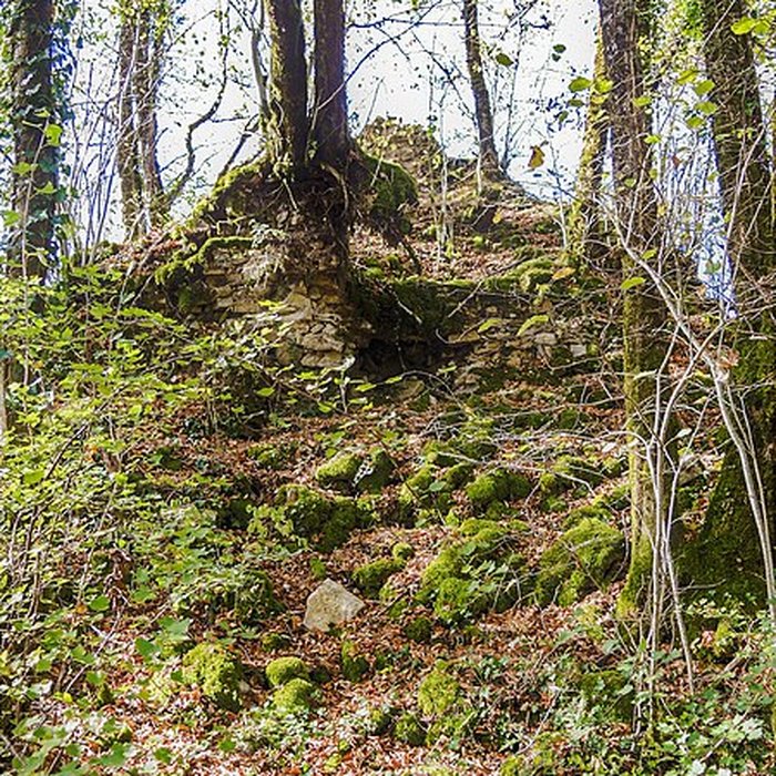 Photo de Château de Charencey
