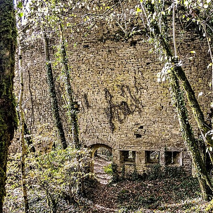 Photo de Château de Charencey