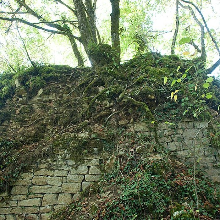 Photo de Château de Charencey