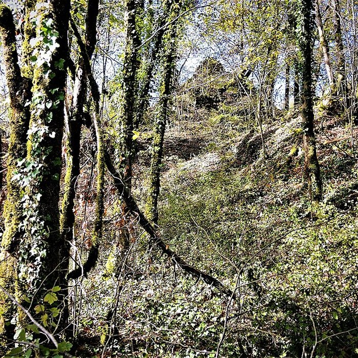 Photo de Château de Charencey