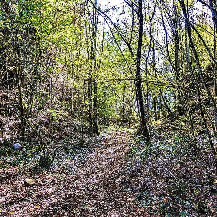 Photo de Château de Charencey