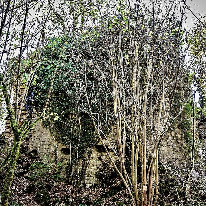 Photo de Château de Charencey