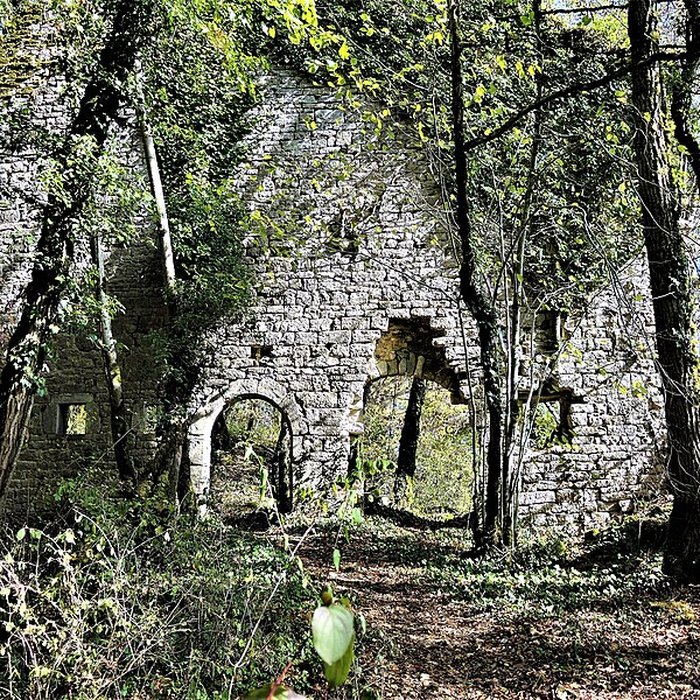 Photo de Château de Charencey