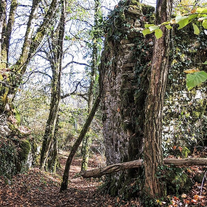 Photo de Château de Charencey