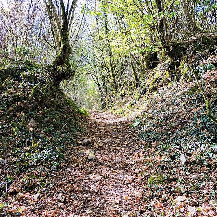 Photo de Château de Charencey