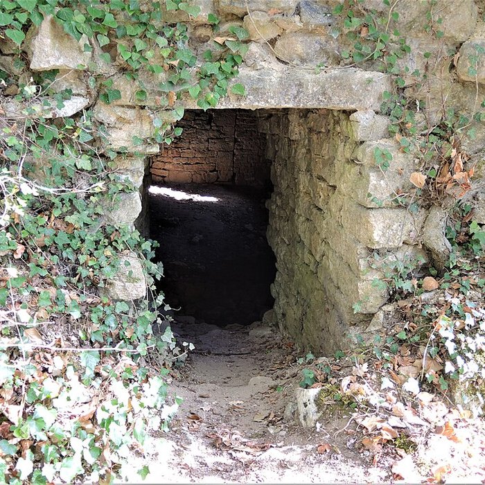 Photo de Château de Charencey