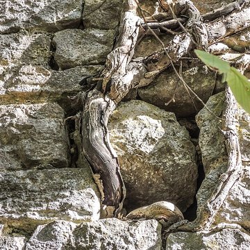 Château de Charencey