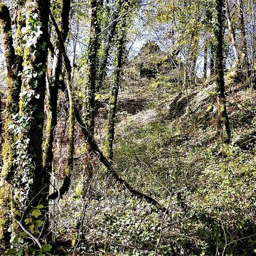 Château de Charencey