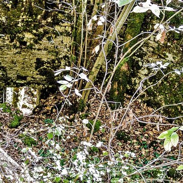 Château de Charencey