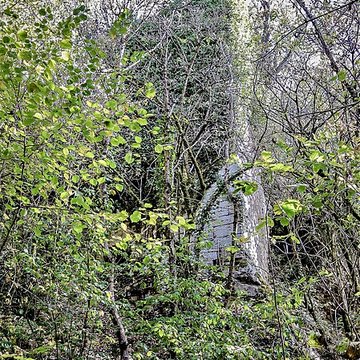 Château de Charencey
