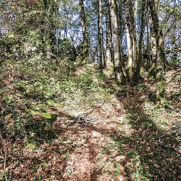 Château de Charencey