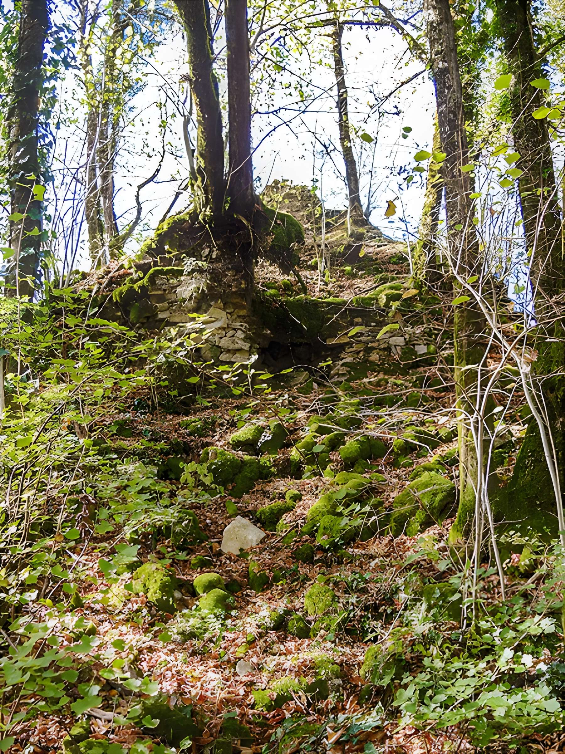 Château de Charencey