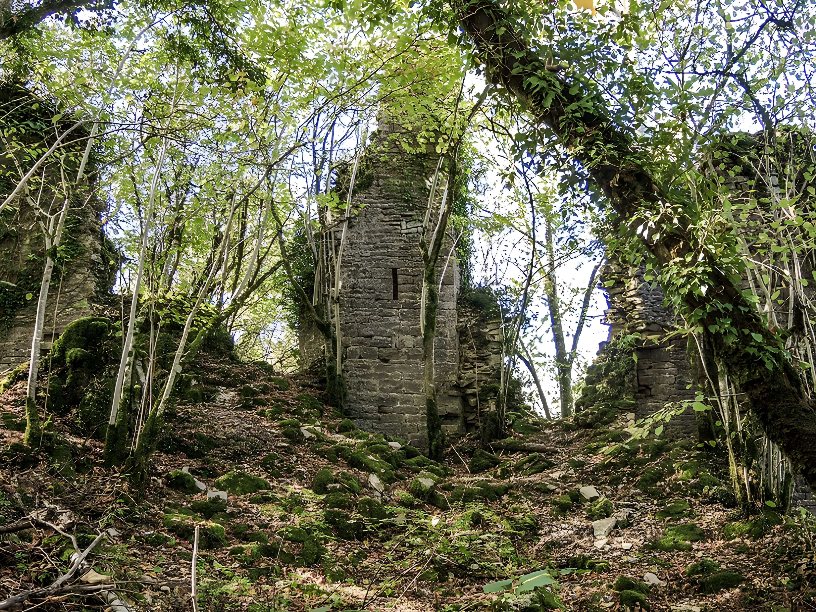 Château de Charencey