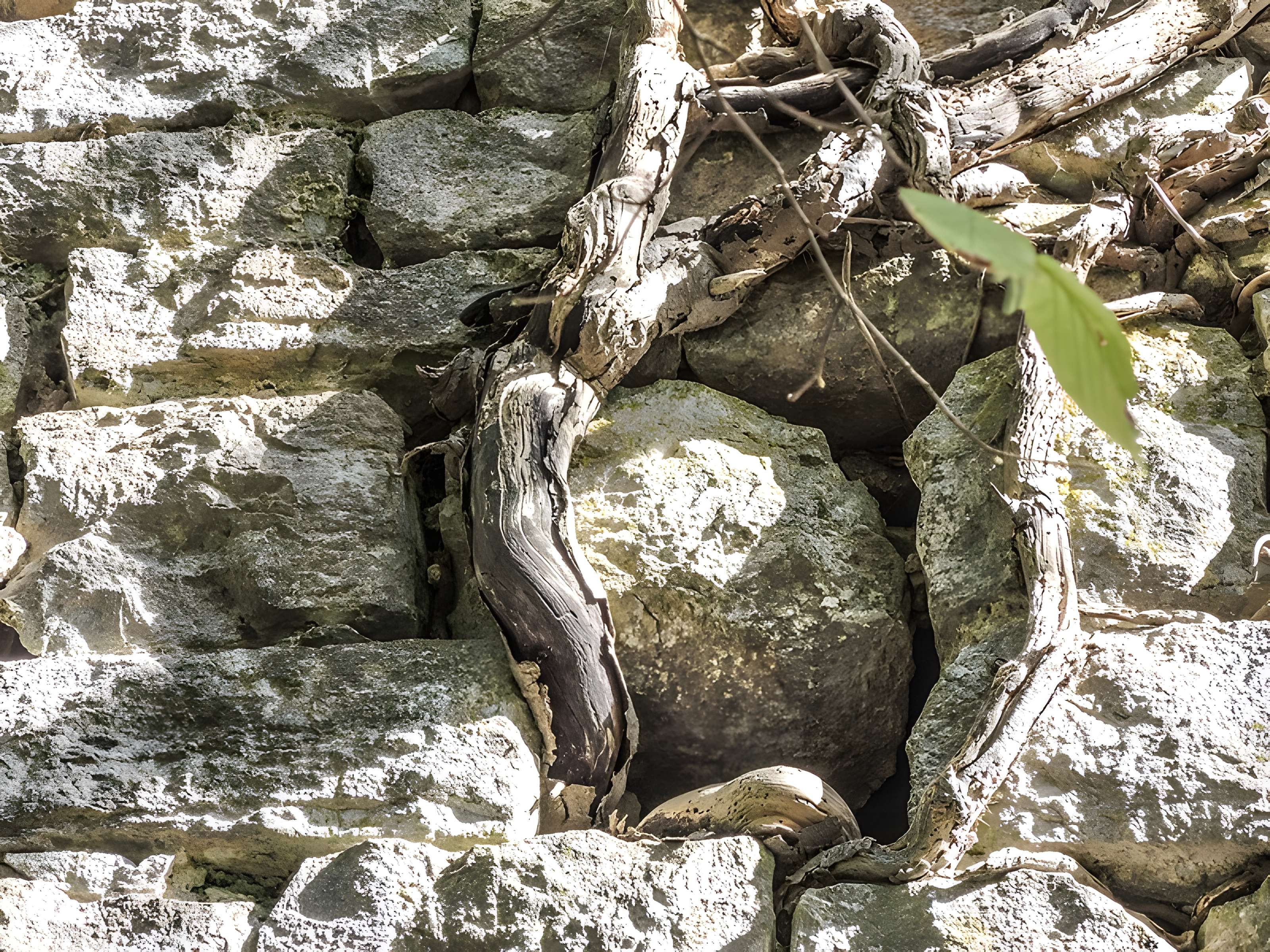 Château de Charencey