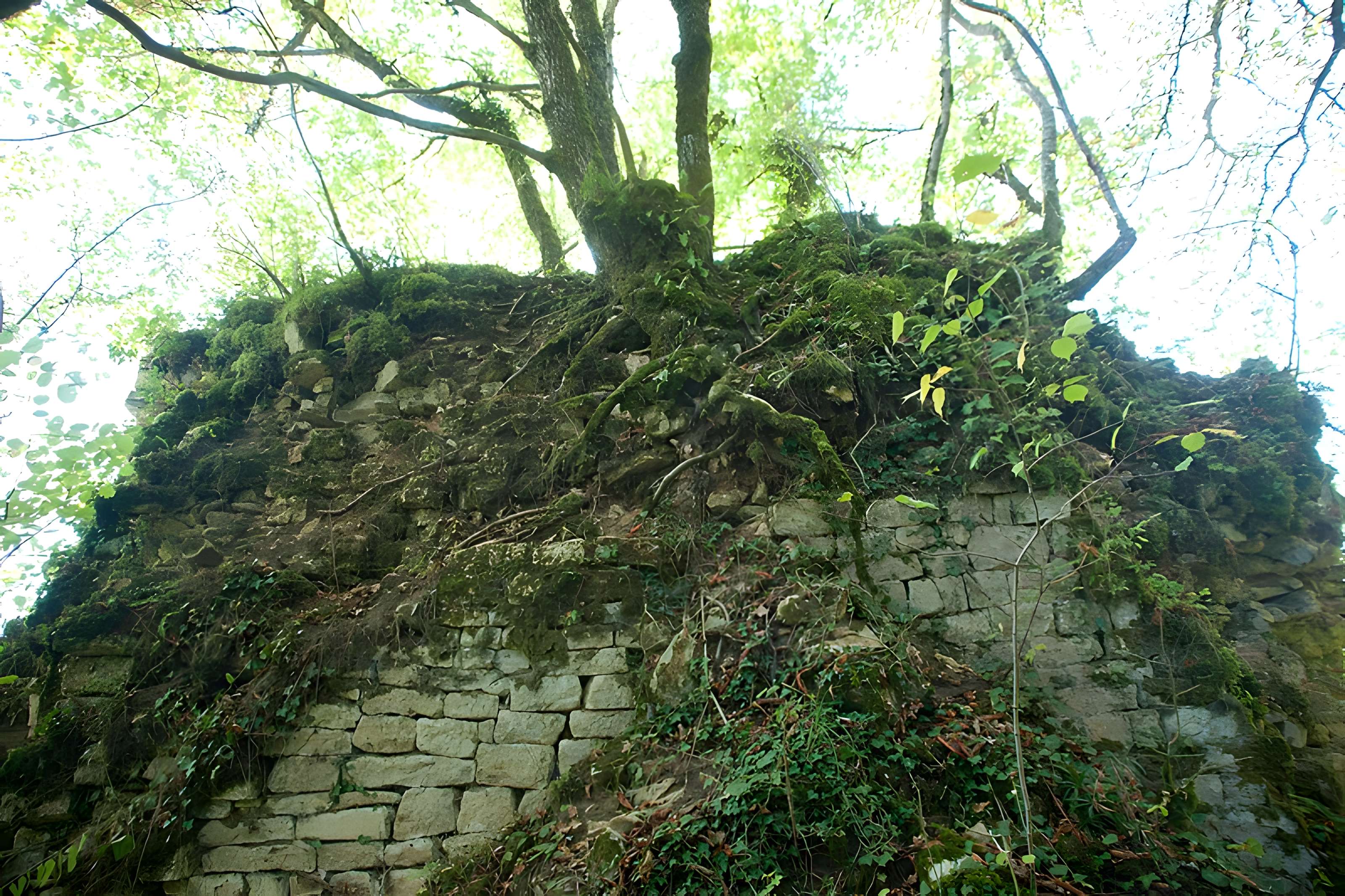 Château de Charencey