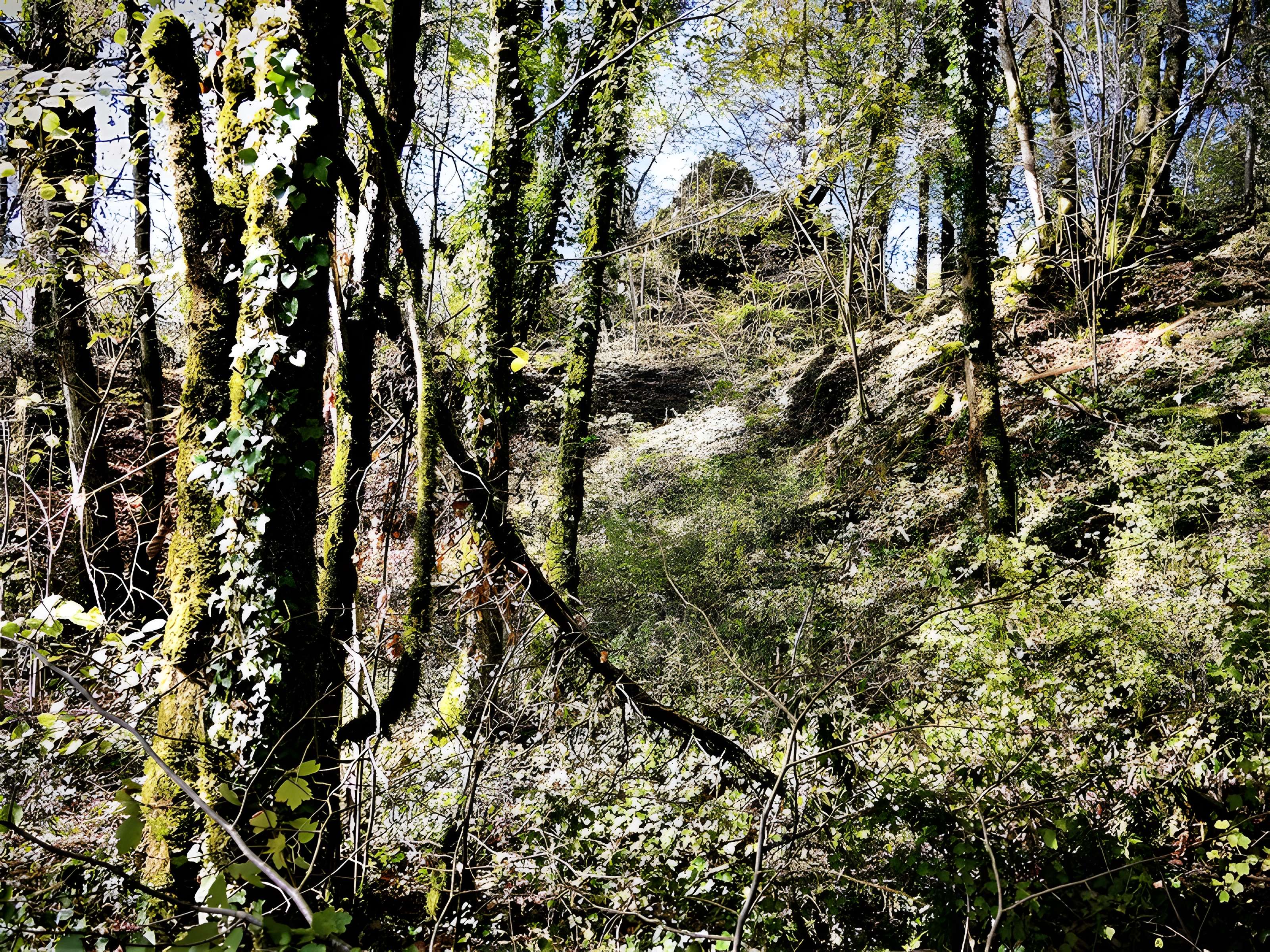 Château de Charencey