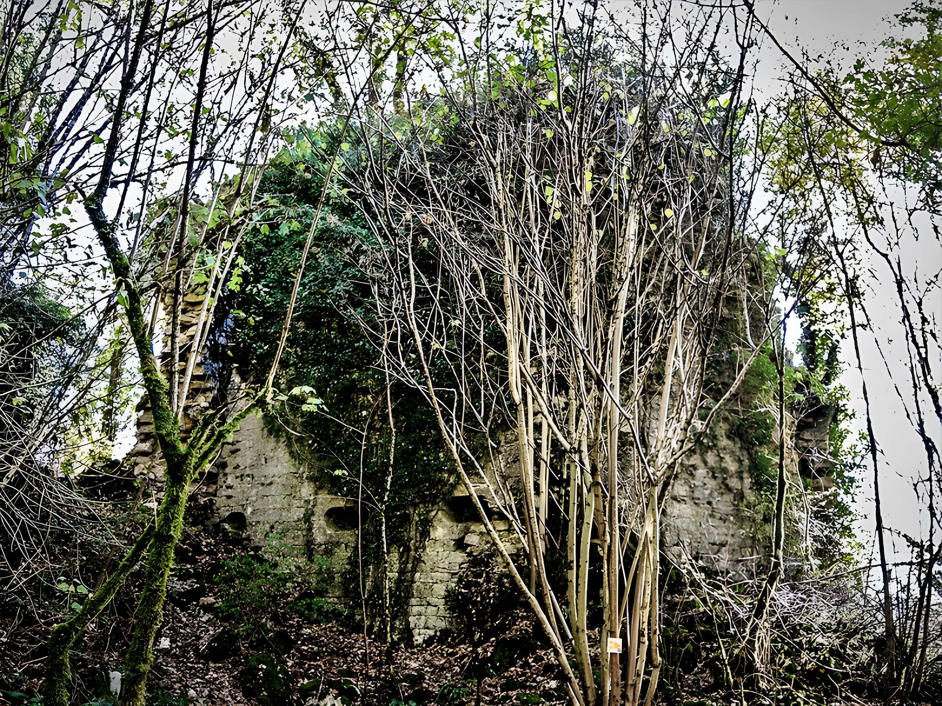 Château de Charencey