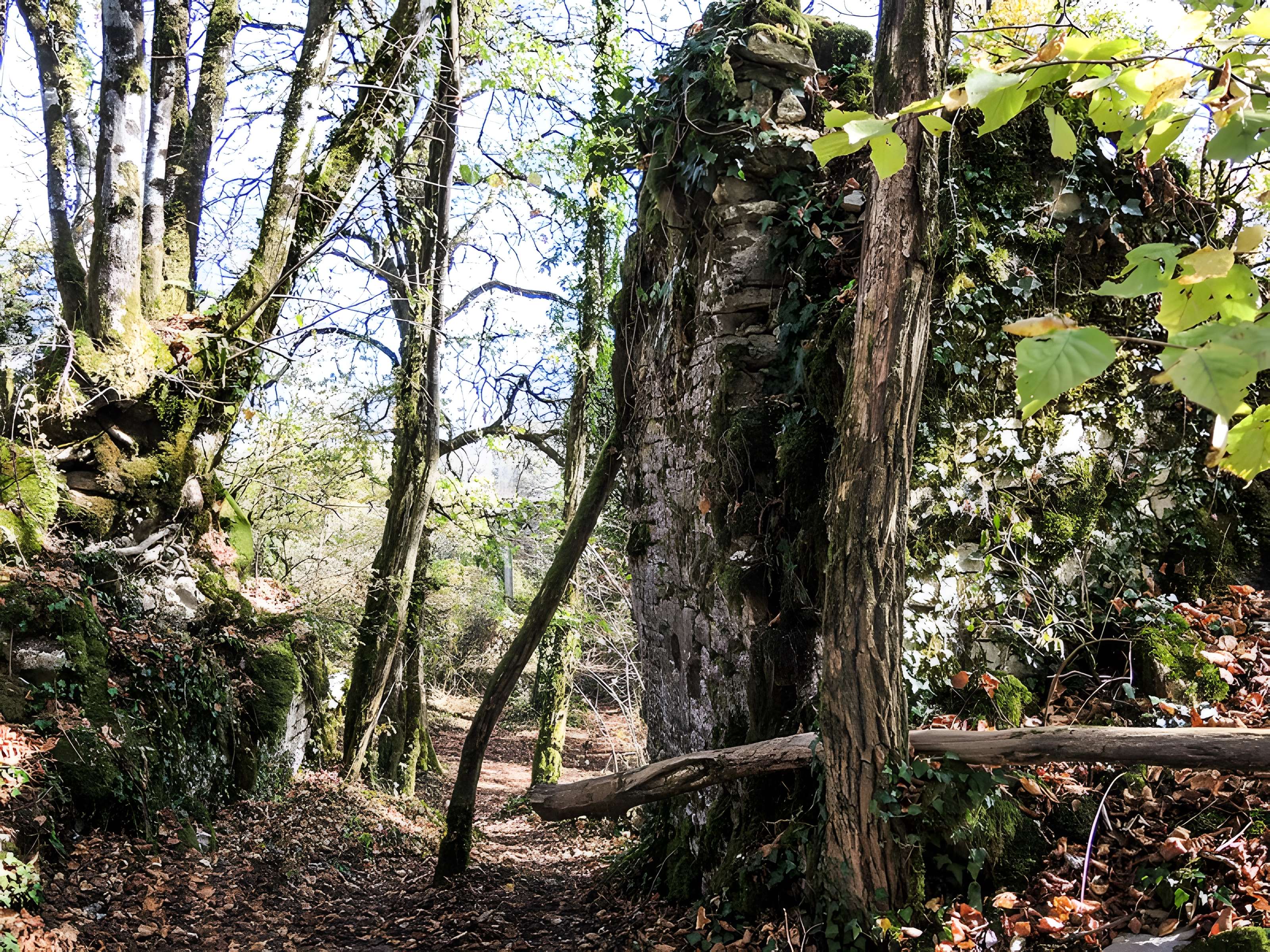 Château de Charencey