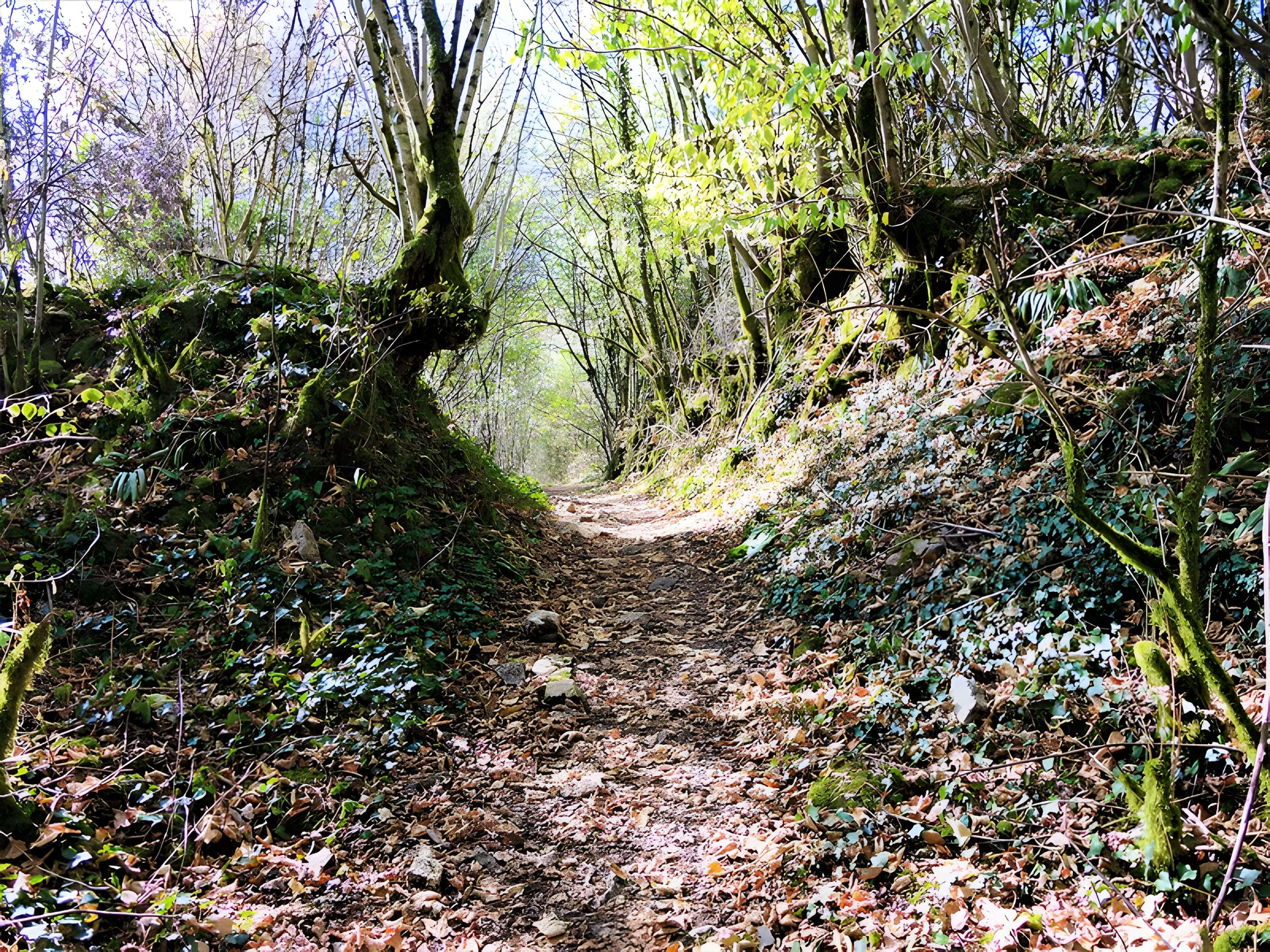 Château de Charencey