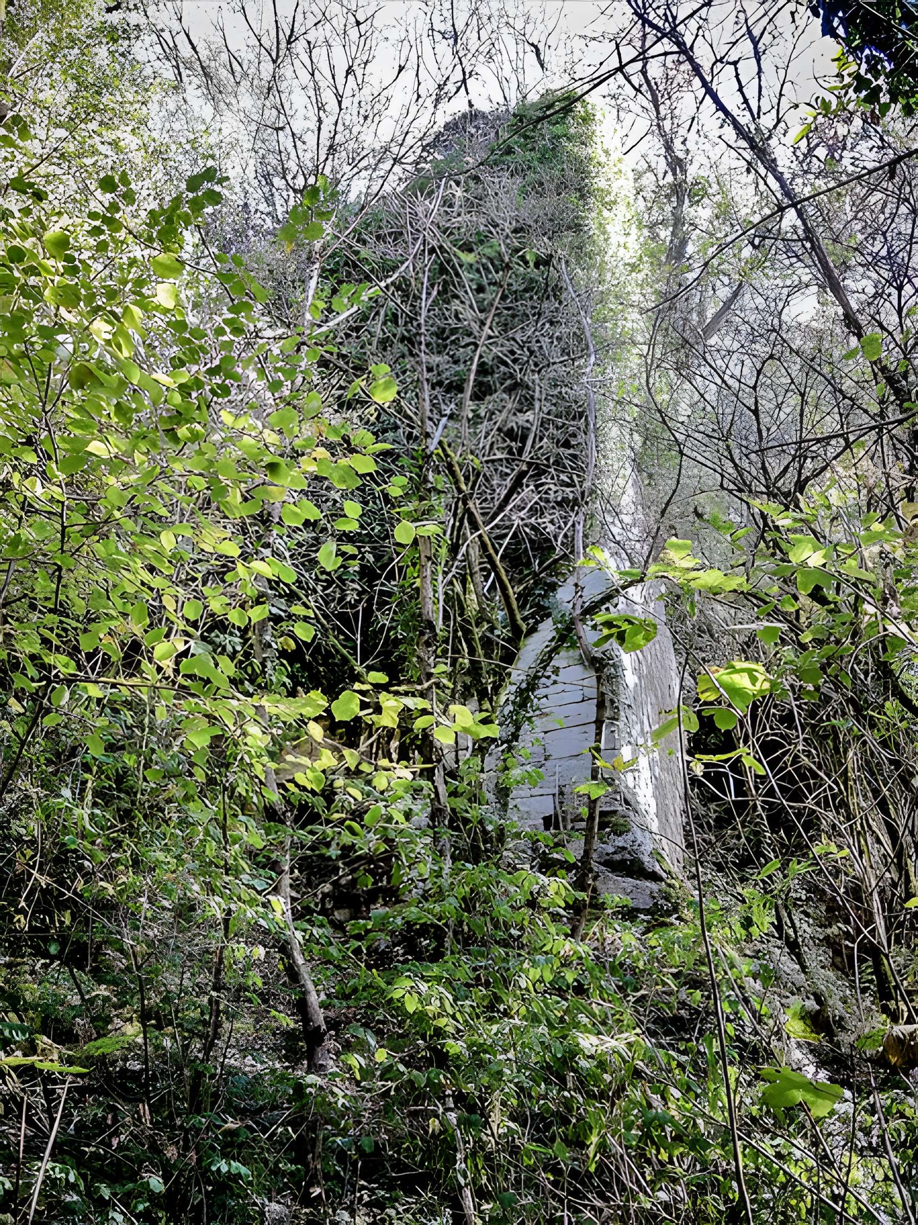 Château de Charencey