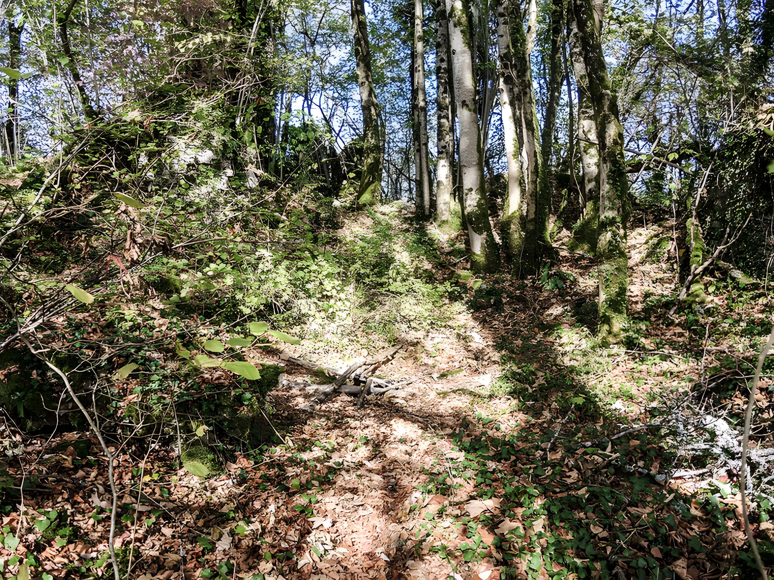 Château de Charencey