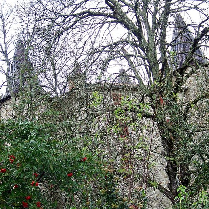 Photo de Château de Chassagnes