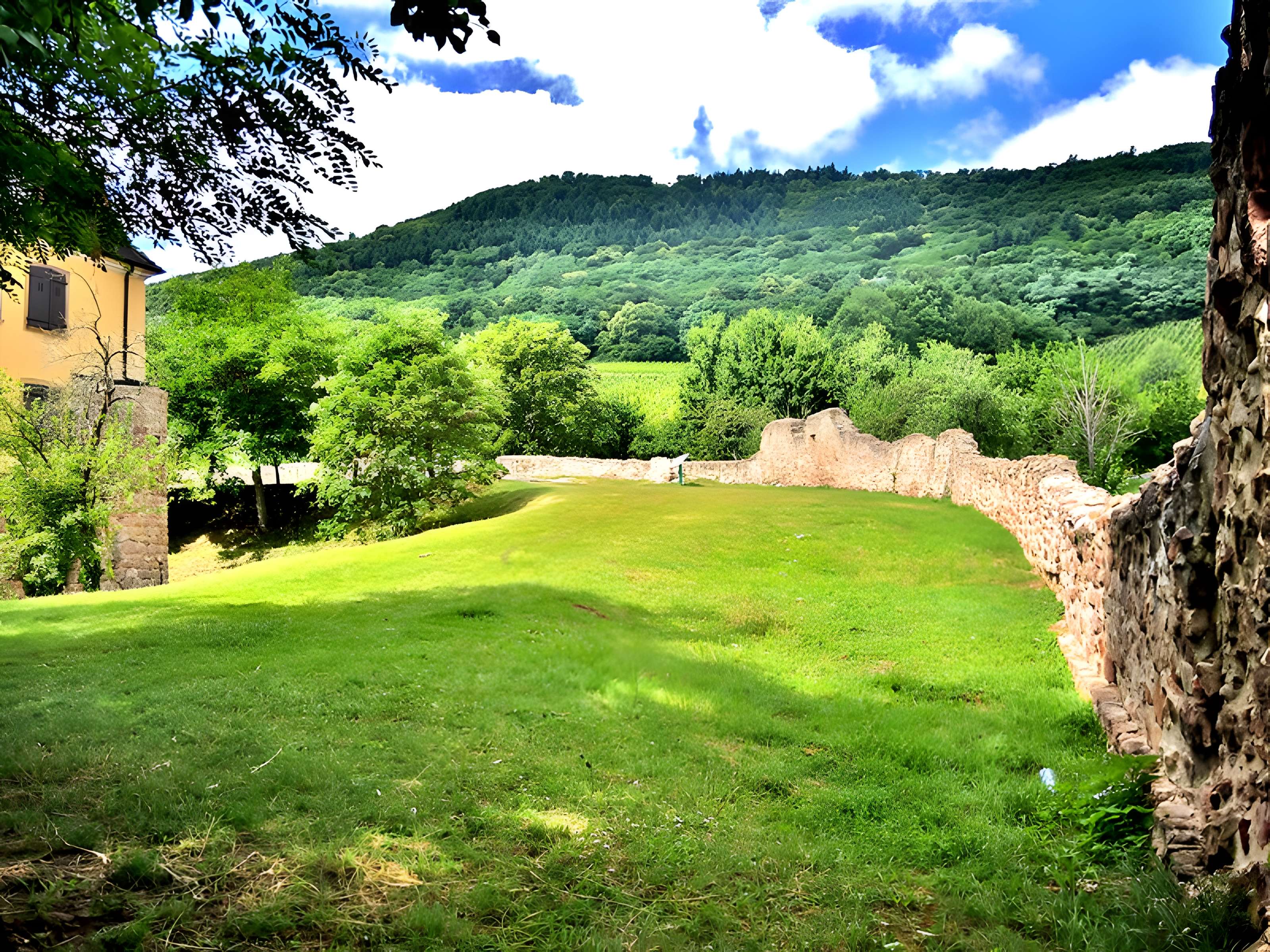 Château de Châtenois