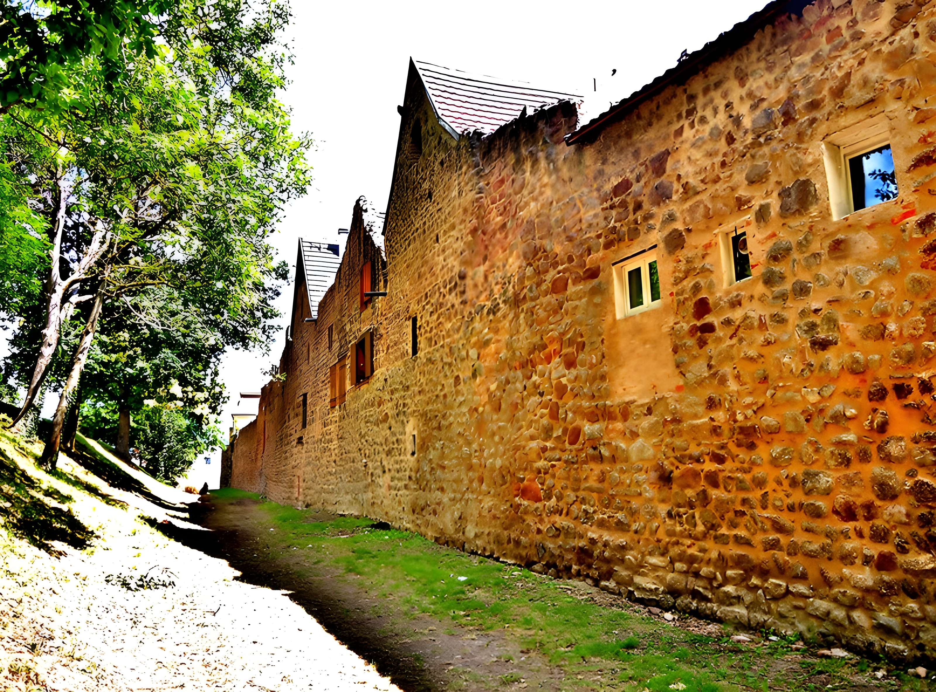 Château de Châtenois
