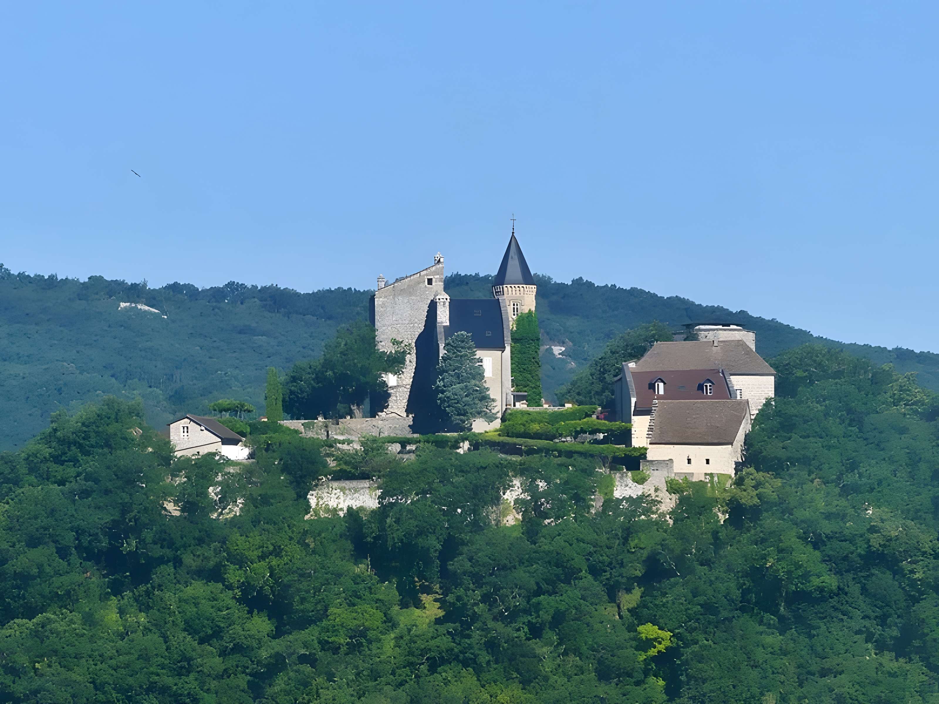 Château de Châtillon à Chindrieux 