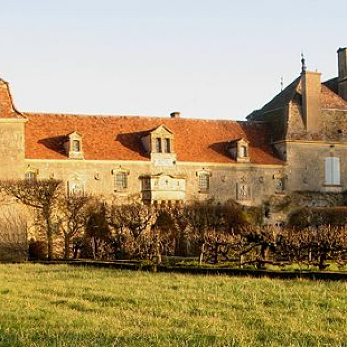 Photo de Château de Chaumont à Oyé