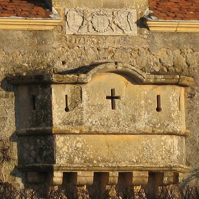 Photo de Château de Chaumont à Oyé