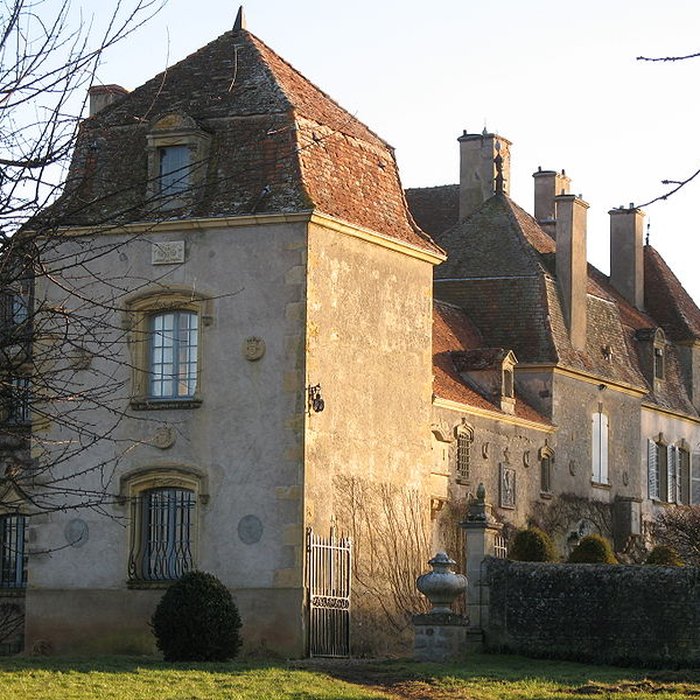 Photo de Château de Chaumont à Oyé