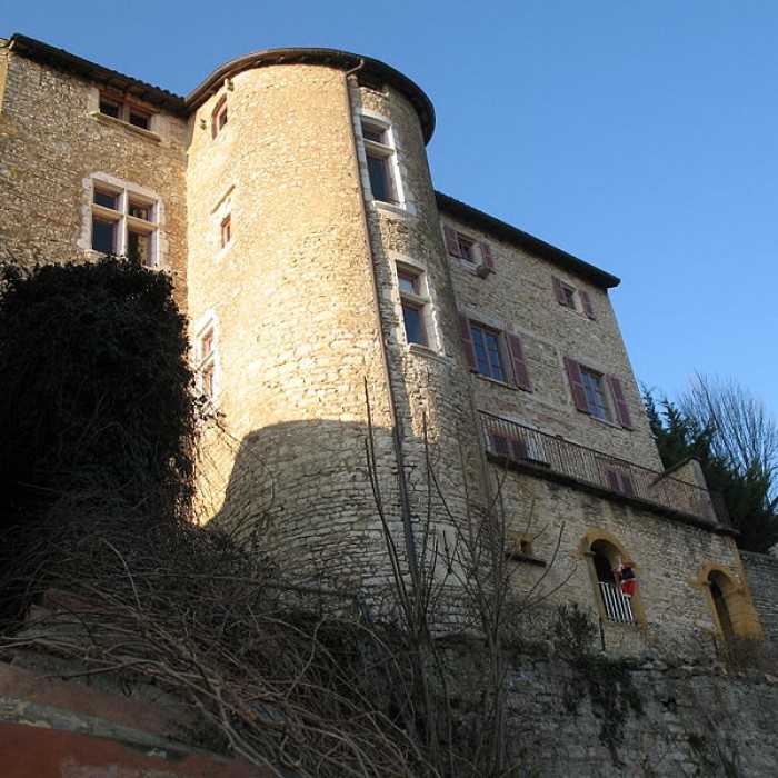 Photo de Château de Chazay
