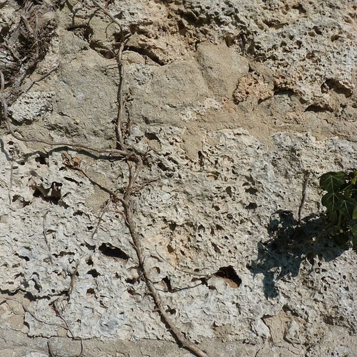 Photo de Château de Clermont à Chirens