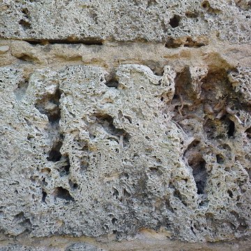 Château de Clermont à Chirens