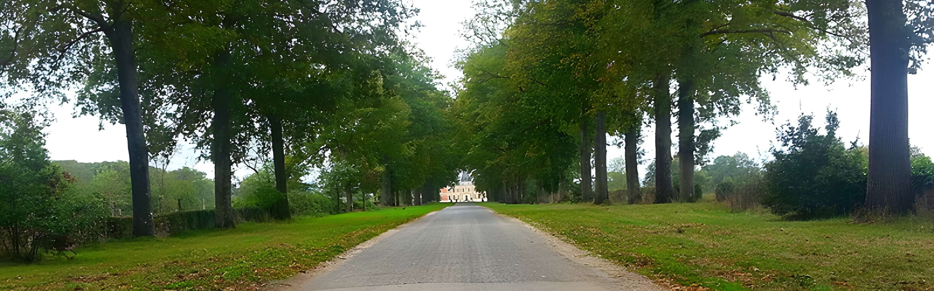 Château de Clermont au Cellier 