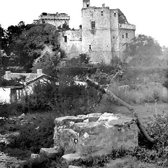 Photo de Château de Clisson