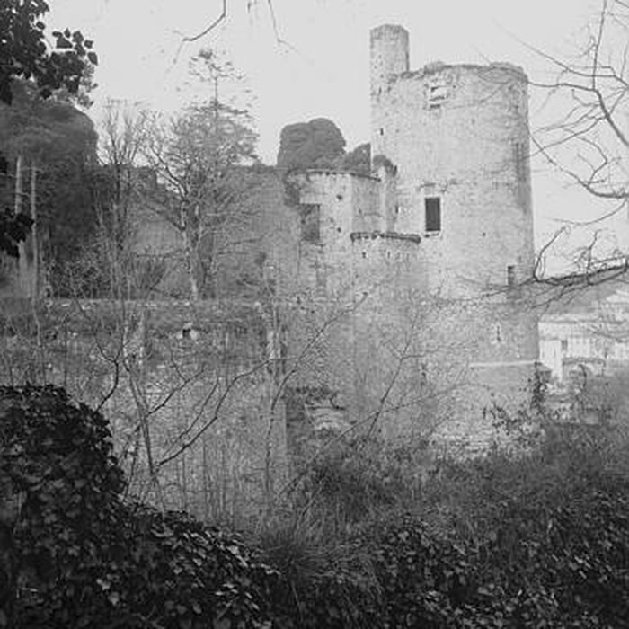 Photo de Château de Clisson