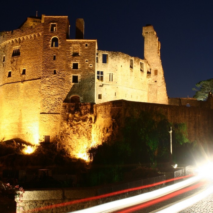 Photo de Château de Clisson