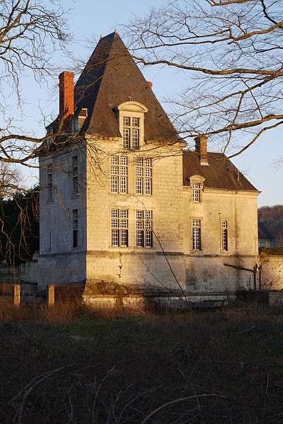 Photo de Château de Coeuvres