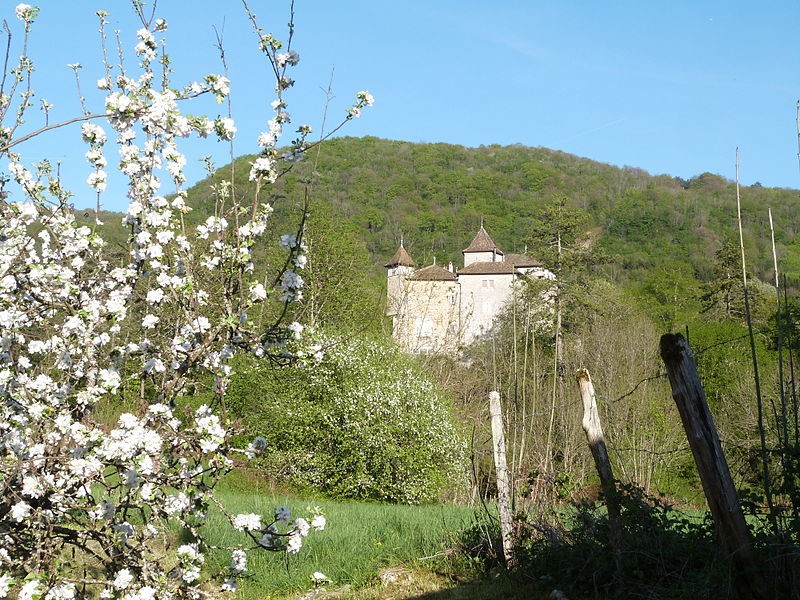 Photo de Château de Coiselet