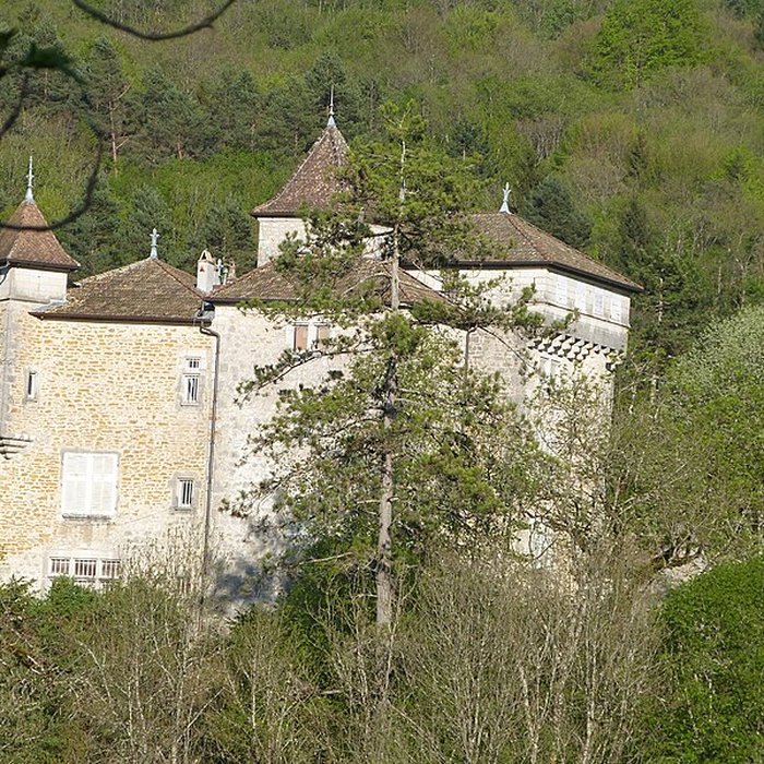 Photo de Château de Coiselet