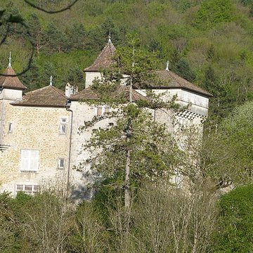 Château de Coiselet