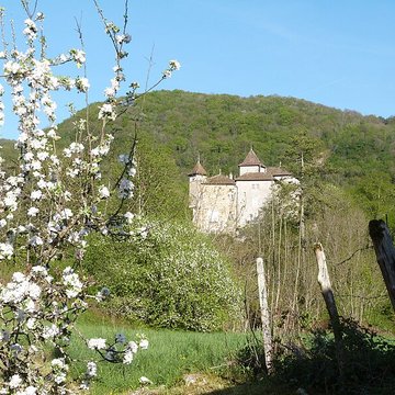Château de Coiselet